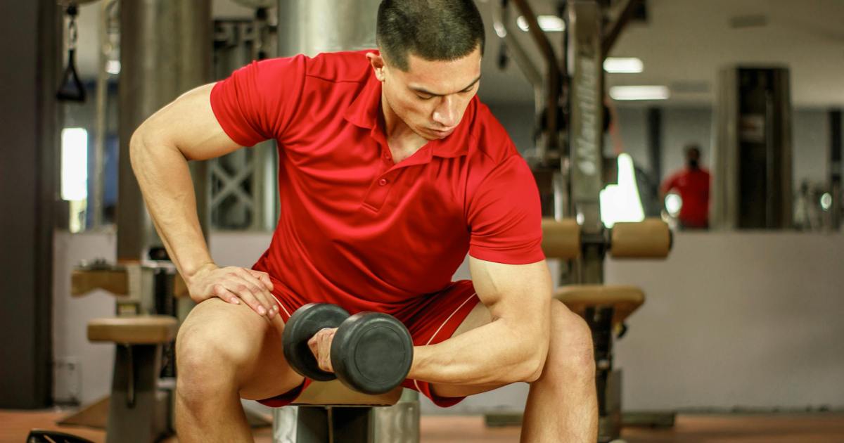 Easy methods to know the principle focus curl for larger biceps